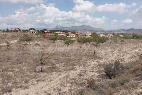 Helårsgrund i Monovar, Alicante, Monovar - € 69.995 | Ref: SF0514 - foto 9
